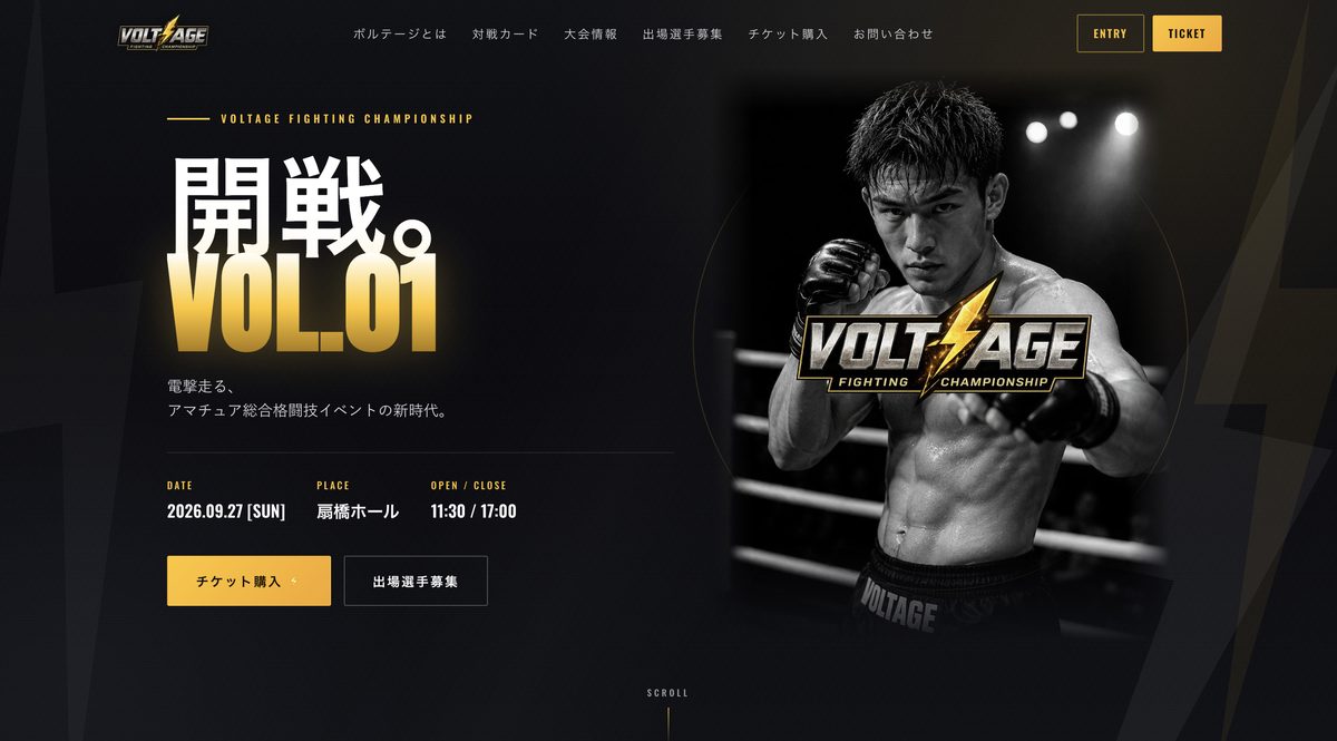 VOLTAGE Fighting Championship